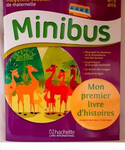 Minibus M.S